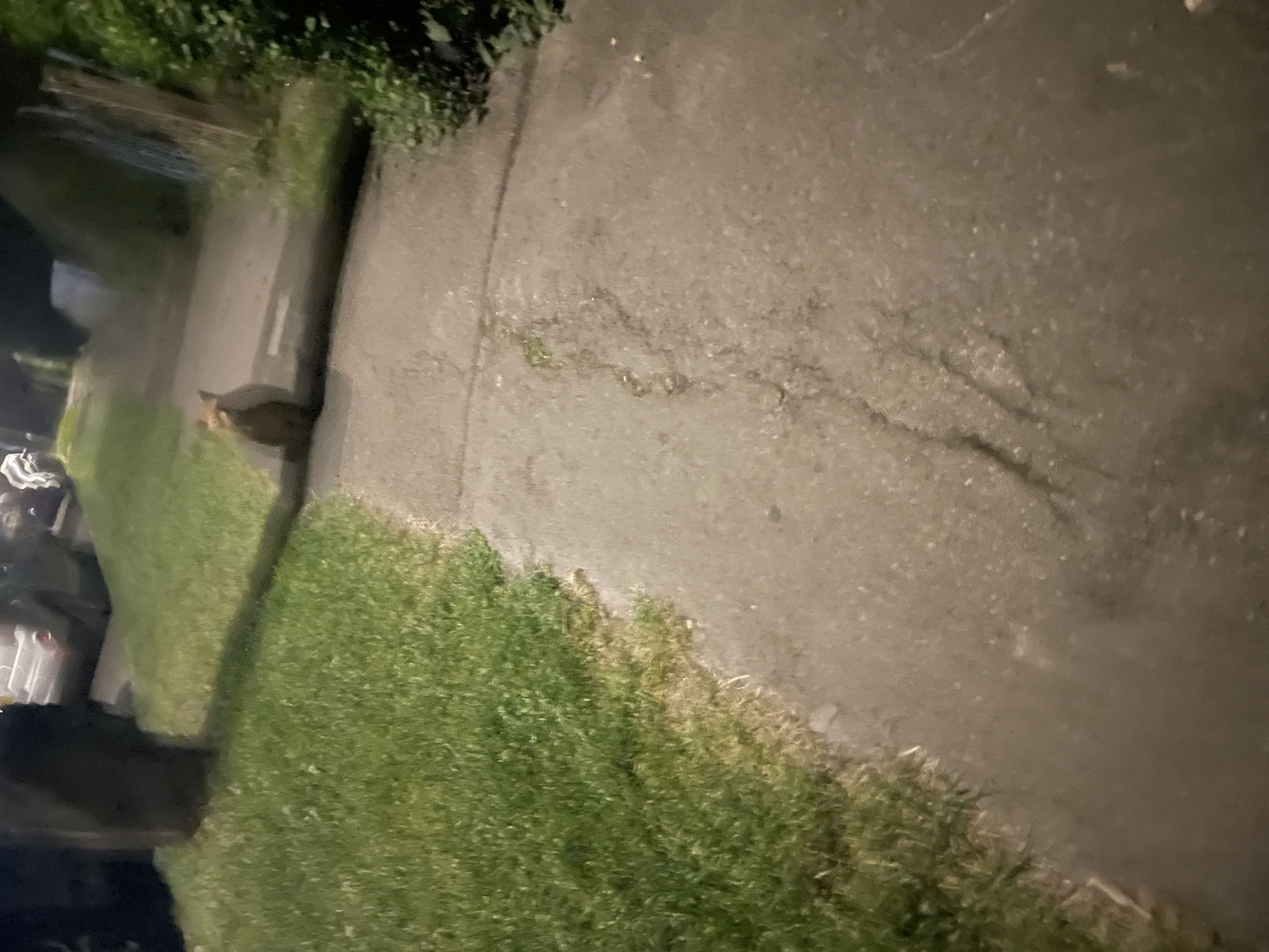 you can tell i was drunk